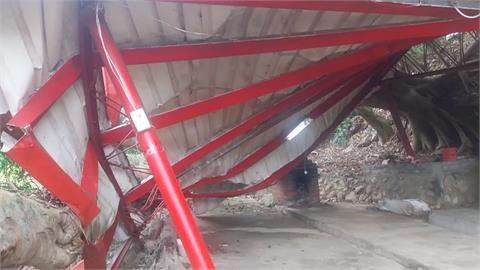 苗栗苑裡百年榕樹因雨倒塌　砸壞土地公廟棚架