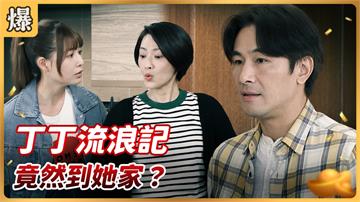 《好運來-EP79精彩片段》 丁丁流浪記 竟然到她家？