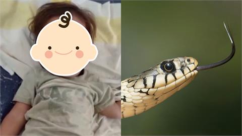 印度真人版「神話故事」是巧合？比哈爾邦2歲神童憑「牙齒」戰勝眼鏡蛇
