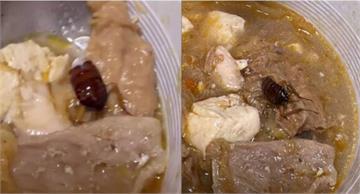 外帶「林聰明沙鍋魚頭」吃到超大蟑螂　業者無限期停業整頓