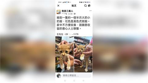為索紙箱拾流浪貓! 婦人橫越馬路遭機車撞身亡
