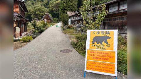 日本熊災遇到能活?他登山「只靠手腳」把熊打退網驚:敏捷+血條都超厚