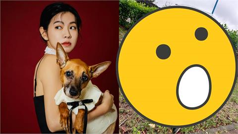 《好運來》米可白才開戰鍾東錦！「倒路邊身影突流出」網急關切內情曝光