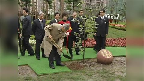 快新聞／李登輝手植榕樹消失！北市府證實4月移除　李安妮回應了