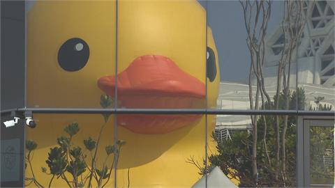 黃色小鴨最終日　　週日下午5點抵18號碼頭舉辦歡送趴