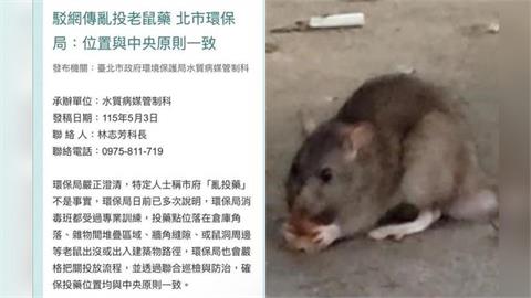 北市「鼠患」入侵商圈、校園！環保局駁斥亂投藥傳聞⋯網見「1關鍵字」氣炸