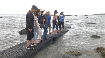緩衝期已到！ 富山護魚區禁遊客餵魚「最高罰15萬」漁會將派專人餵魚促觀光