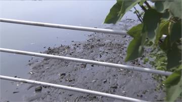 不明油污污染高雄林園中芸港 漁民氣炸了