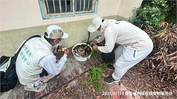 颱風後登革熱進入高風險期！疾管署：雨後一週是防治關鍵