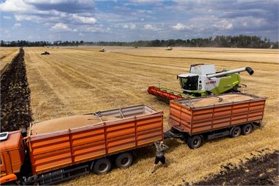 俄羅斯停黑海穀物協議　開新捷徑賣糧食賺一波？