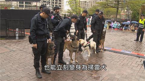 烏克蘭神犬嗅出90枚地雷　台灣也有Q萌「偵爆犬」