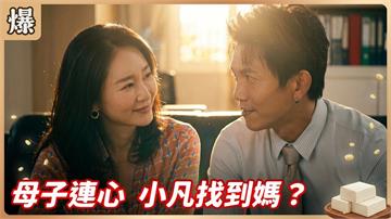 失憶女星千里尋子，沒想到親骨肉就在眼前？《豆腐媽媽-EP128精彩片段》