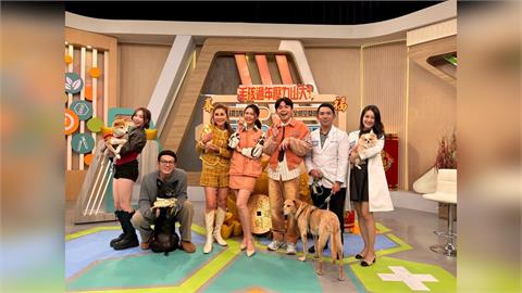 陳志強愛犬一到過年放煙火！嚇到失控「挫屎」