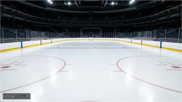 NHL楓葉隊3比1擊退鯊魚 18歲狀元新秀攻入致勝球
