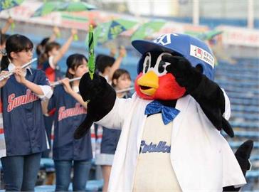 日職(影)／養樂多吉祥物燕九郎「靈魂」離世！球團宣布「本尊」將暫停活動