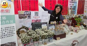 戀戀安農溪1/九成銀柳三星傍水生 在地揭長短錯落藏祝福寓意