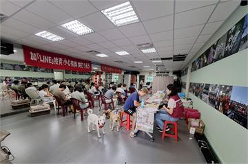 啟動山線偏鄉犬貓絕育3合1　新北守護流浪毛寶貝健康