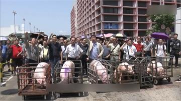 全球／「瘟」室效應燒到越南、柬埔寨！中國豬年底漲幅上看70%