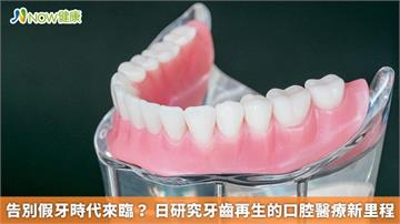 告別假牙時代來臨？ 日研究牙齒再生的口腔醫療新里程