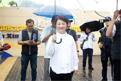 快新聞／一度告急！「盧媽三子」全逃過罷免　盧秀燕：感謝民眾黨與小草