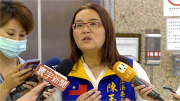 藍綠政客「論文門」學霸陳玉珍說話了