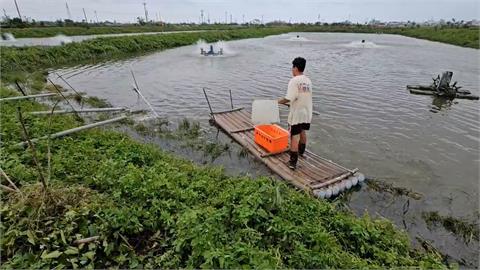 丹娜絲颱風重創嘉南毀魚塭！　台南北門養殖業者損失慘