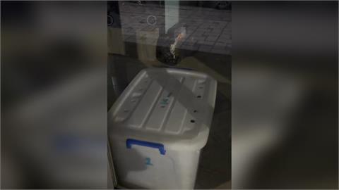 快新聞／連鎖寵物店打烊將狗塞收納箱！網友急尋臘腸犬　曝店家電話打不通