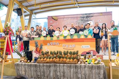 國產鳳梨盛產啟程　甜蜜美味正式上架