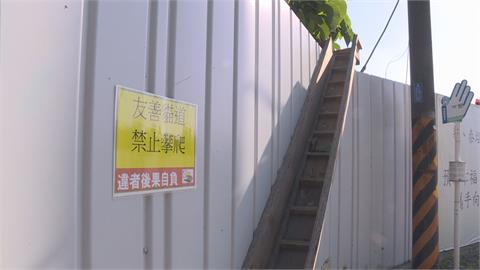 保護小動物安全回家　新泰塭仔圳、土城承天路設「動物廊道」