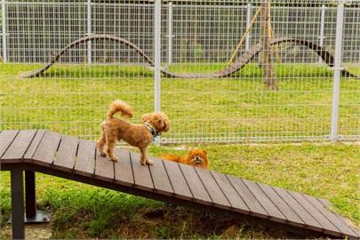 讓毛孩放電奔跑　高市梓官首座寵物活動區啟用