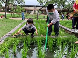 桃市八德幼兒園課程結合在地文化生態　獲教育部教學卓越獎肯定