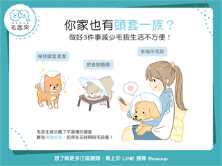 【汪喵生活家】你家也有頭套一族？做好3件事減少毛孩生活不方便！