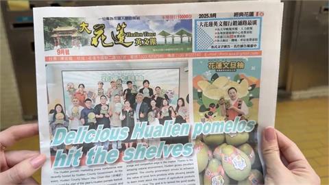 諷刺！災民怨沒撤離通知　北市大安居民卻收徐榛蔚政績宣傳報