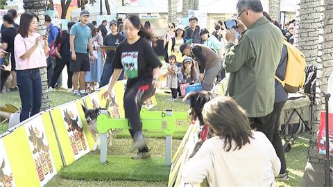 新北「毛寶貝耶誕趴」登場！　「狂想曲樂遊」主題　１１項大型設施同樂