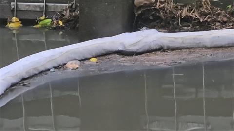 快新聞/監測失靈?基隆河「出現油味」遭疑未公告 台水應變措施全說了