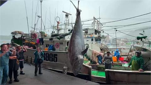 連莊「蘇澳第一鮪」 去鰓後重270KG 船長盼拍出好價