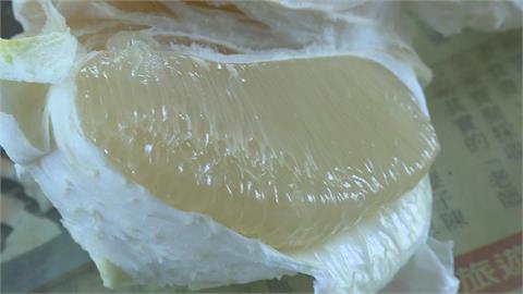 麻豆文旦產量剩3成　果農堅持不漲價原因曝光