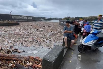 快新聞／災情持續！宜蘭2漁港遭漂流木塞港　漁船無法出海、漁港生意冷清