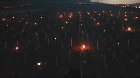 負5度春寒恐影響葡萄產量 法農民點數百支蠟燭除霜