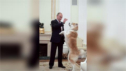 曾是日俄外交象徵　普丁愛犬「小夢」過世
