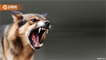 恐怖！基隆郵差送信慘遭惡犬咬斷指 鄰居爆：已多次攻擊人