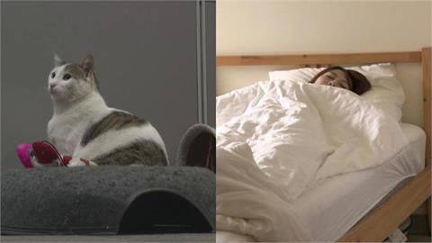 她與「7.5公斤愛貓」同床睡一晚！起床驚見「手腕骨折」醫嚇傻：不可能吧…