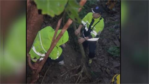 爬龍門谷摔落邊坡！腳扭傷受困2天沒水喝　呼喊路人聽到