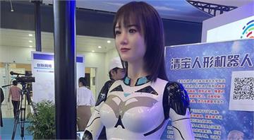 中國「情趣機器人」概念股漲停　再加速生產「人形機器人」