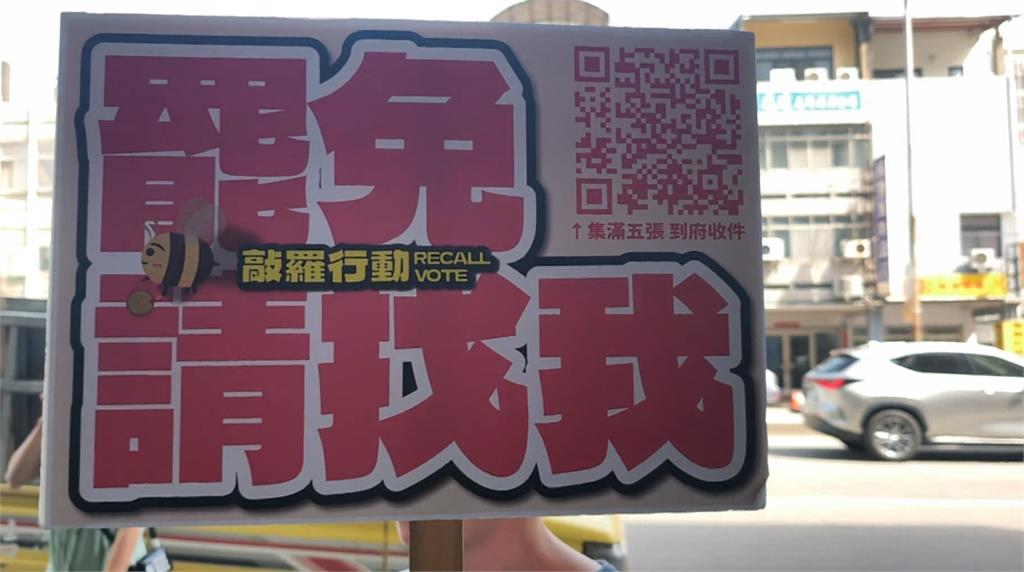罷免最後衝刺！　綠議員「民主小蜜蜂」助攻中六罷團