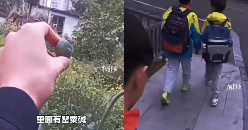 陸國小生路邊認出罌粟！　報警帶路「掃毒」網驚：連我都辨識不出來