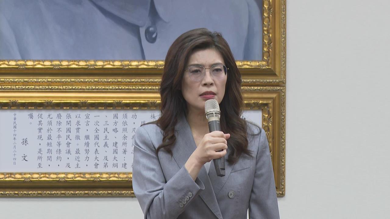 快新聞／藍營這人還在幫腔？稱鄭麗文喊「台灣非國家」：每個字都符合1事