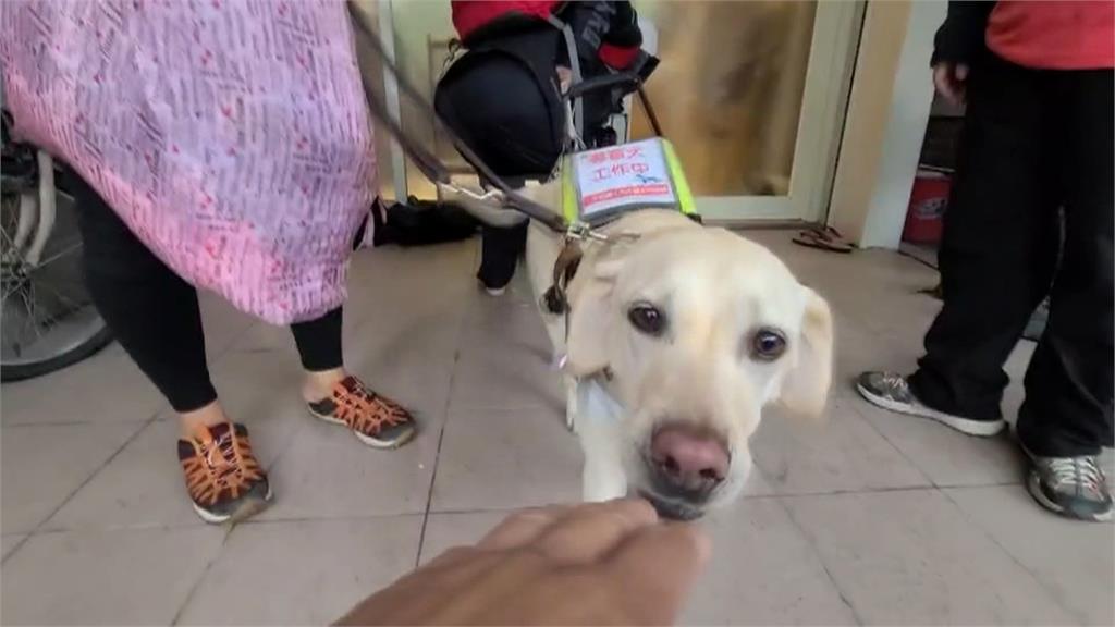 「導盲犬非寵物」仍遭店家拒進店用餐　視障者挫折又難過！店家出面致歉