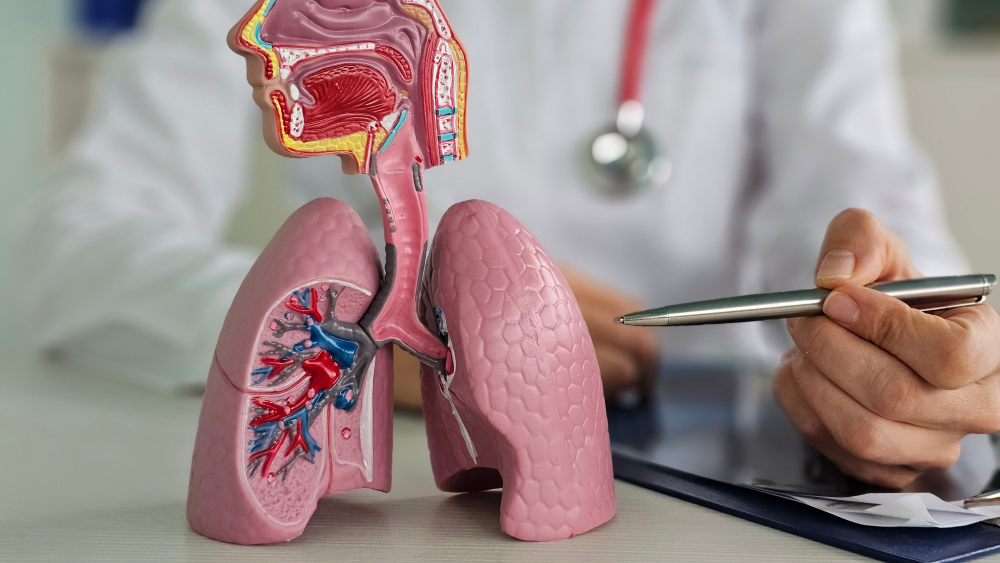 過半肺阻塞患者伴隨「心血管共病」！  醫界呼籲：關注6大風險，別再讓肺「傷心」