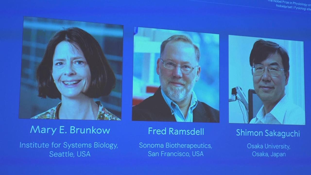 研究周邊免疫耐受性　美日三科學家獲諾貝爾醫學獎